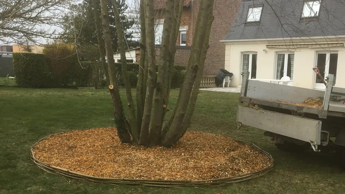 amenagements de jardin